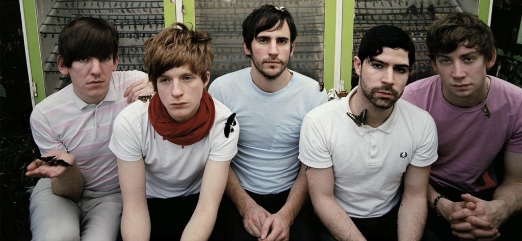Foals 1