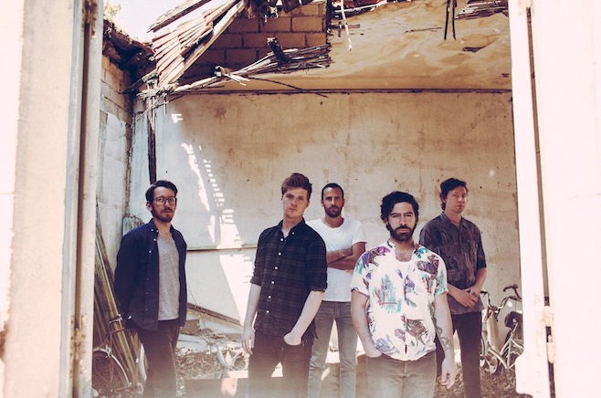 foals
